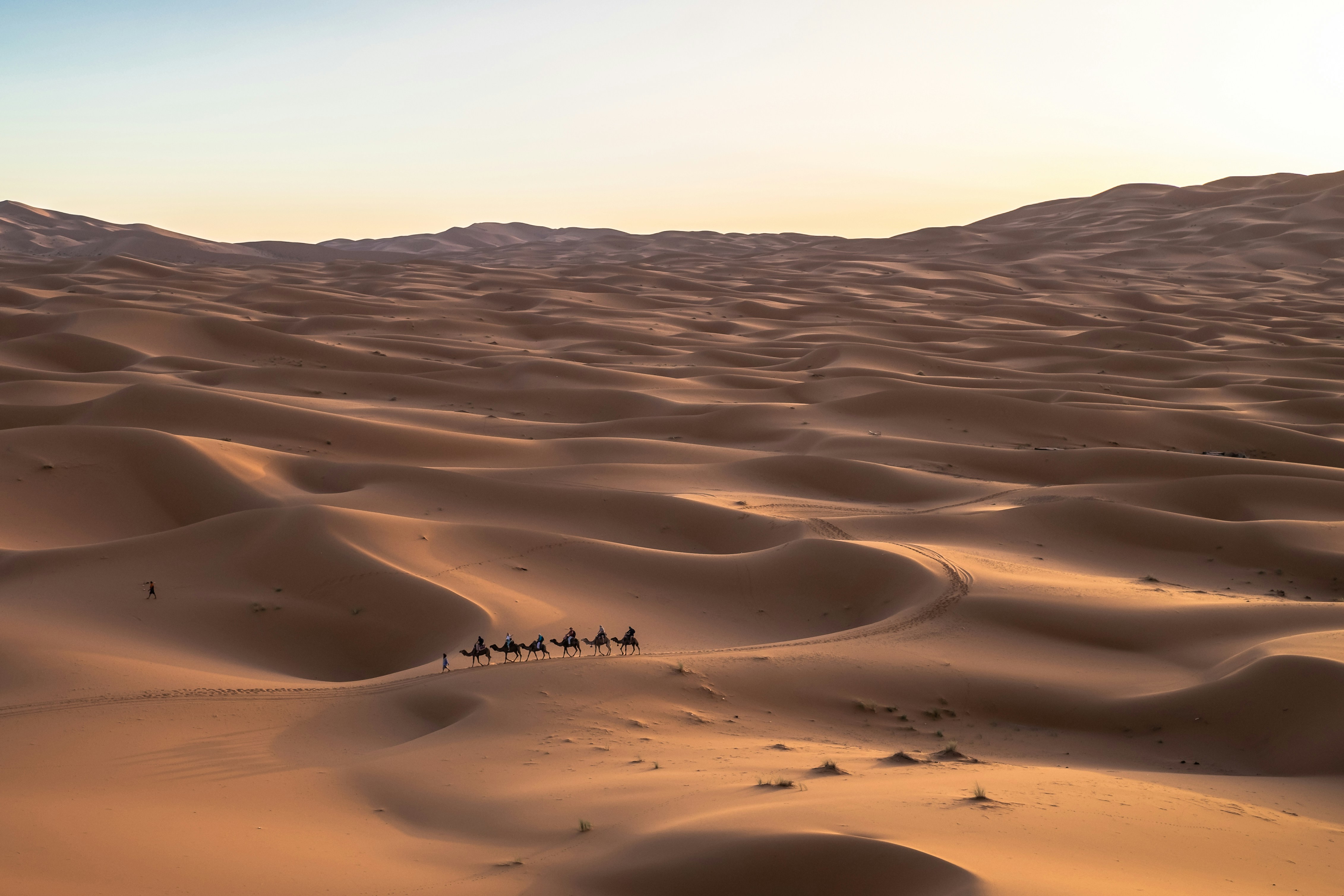 4-Day Grand Sahara Circuit