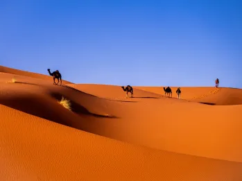 3-Day Sahara & Erg Chebbi Discovery
